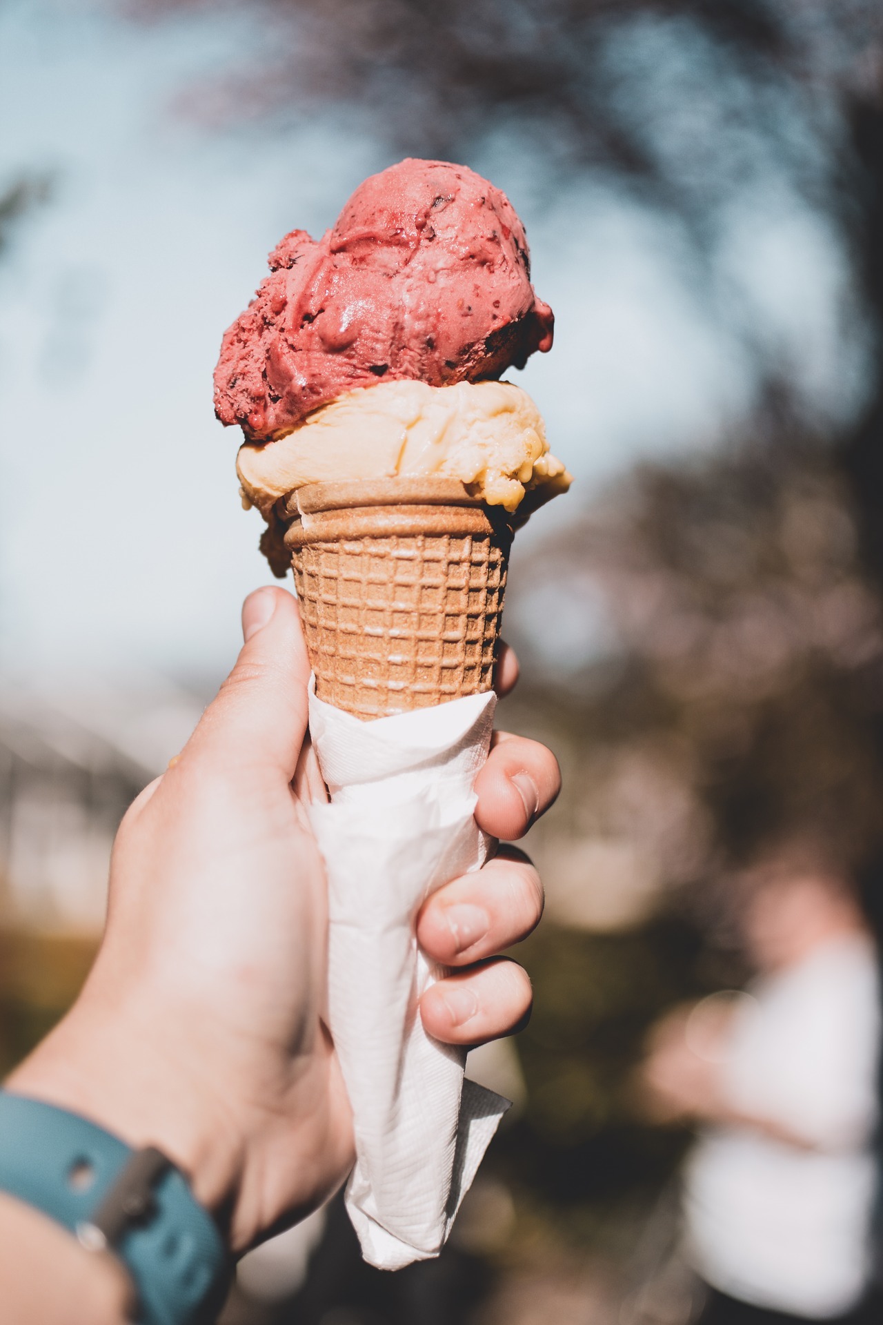 ice-cream-3389010_1920